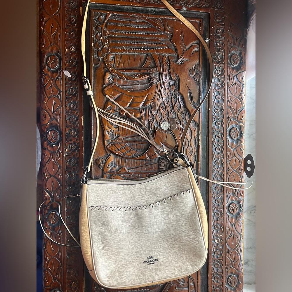 Coach Whipstitch Colorblock Chaise Crossbody